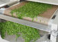 茶葉の産業マイクロウェーブ乾燥および殺菌機械PLC制御