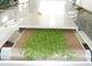 PLCのマイクロウェーブ乾燥の殺菌装置ワサビノキはより乾燥したオーブンの葉を去ります